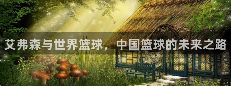 华信娱乐下载：艾弗森与世界篮球，中国篮球的未来之路
