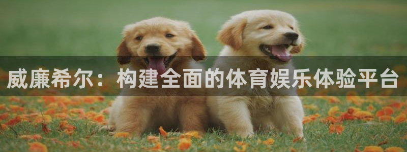 华信娱乐体育平台开号链接：威廉希尔：构建全面的体育娱乐体验平台