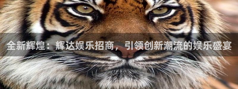 华信娱乐凯捷平台：全新辉煌：辉达娱乐招商，引领创新潮流的娱乐盛宴