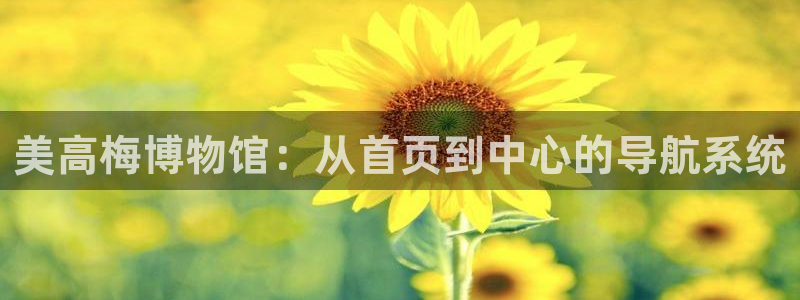 华信娱乐平台登录入口：美高梅博物馆：从首页到中心的导航系统