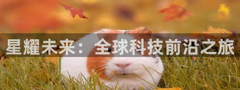 华信娱乐体育2官网入口：星耀未来：全球科技前沿之旅
