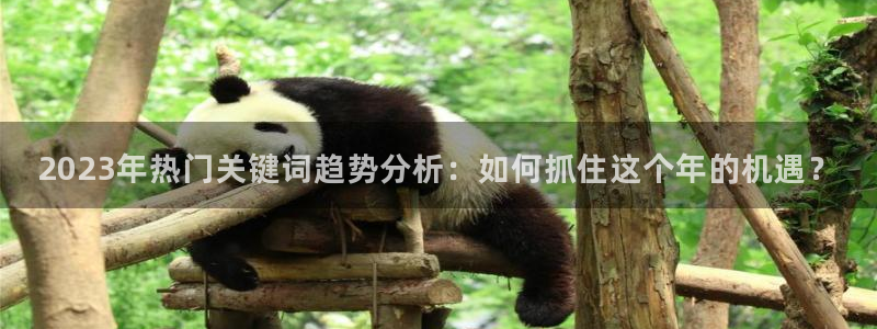 华信娱乐官网下载：2023年热门关键词趋势分析：如何抓住这个年的机遇？
