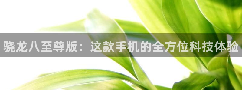 华信娱乐娱乐：骁龙八至尊版：这款手机的全方位科技体验