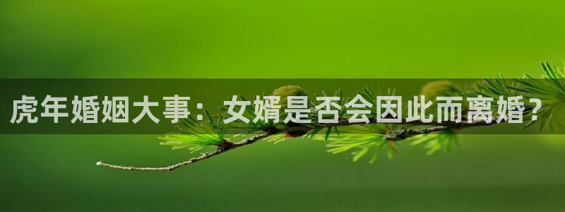 华信娱乐体育代理申请流程：虎年婚姻大事：女婿是否会因此而离婚？