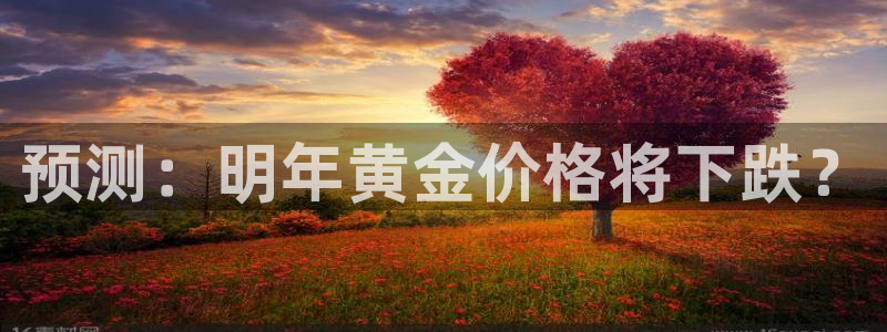 华信娱乐平台官方入口下载：预测：明年黄金价格将下跌？
