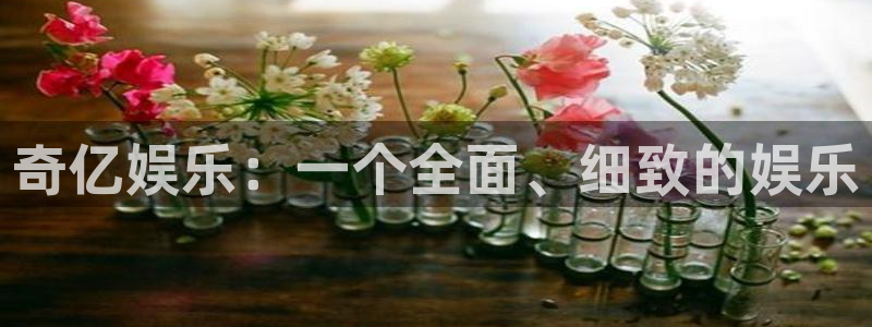 华信娱乐官网：奇亿娱乐：一个全面、细致的娱乐