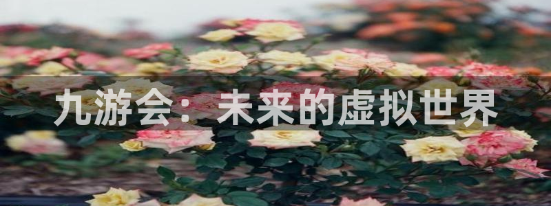 华信娱乐app最新版：九游会：未来的虚拟世界