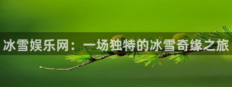 华信娱乐体育合法嘛：冰雪娱乐网：一场独特的冰雪奇缘之旅