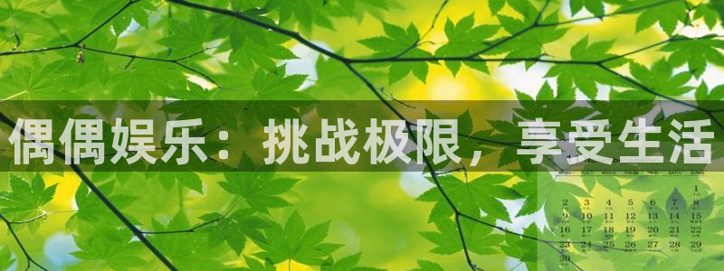 华信娱乐娱乐：偶偶娱乐：挑战极限，享受生活