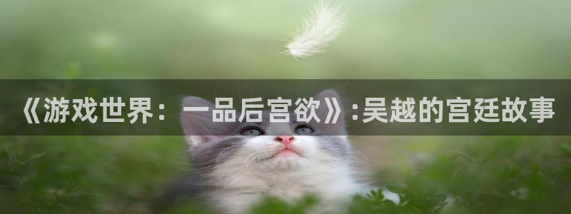华信娱乐体育注册代理：《游戏世界：一品后宫欲》:吴越的宫廷故事