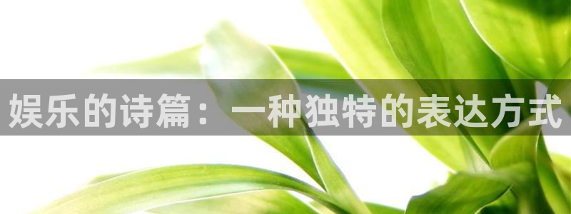 华信娱乐quan28.cc：娱乐的诗篇：一种独特的表达方式