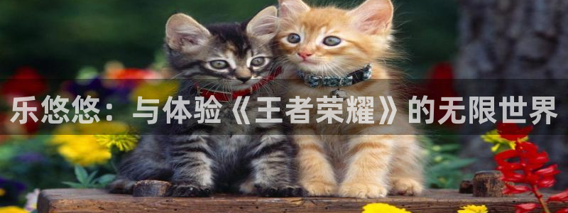 华信娱乐平台官方网站：乐悠悠：与体验《王者荣耀》的无限世界