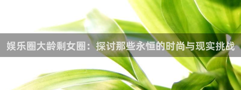 华信娱乐体育平台登录入口：娱乐圈大龄剩女圈：探讨那些永恒的时尚与现实挑战