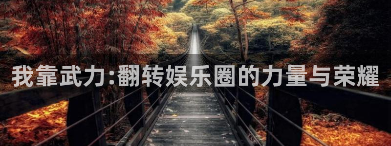 华信娱乐体育免费注册入口：我靠武力:翻转娱乐圈的力量与荣耀