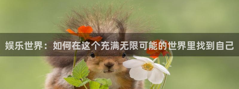 华信娱乐3官网：娱乐世界：如何在这个充满无限可能的世界里找到自己