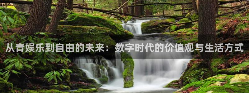 华信娱乐5招商：从青娱乐到自由的未来：数字时代的价值观与生活方式