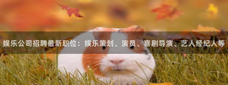 华信娱乐能源：娱乐公司招聘最新职位：娱乐策划、演员、喜剧导演、艺人经纪人等