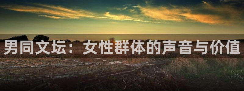 华信娱乐体育2：男同文坛：女性群体的声音与价值