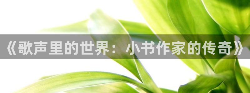 华信娱乐能源：《歌声里的世界：小书作家的传奇》