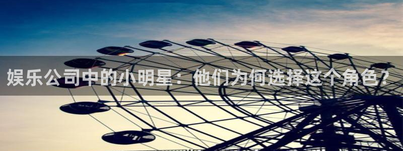 华信娱乐网页版：娱乐公司中的小明星：他们为何选择这个角色？