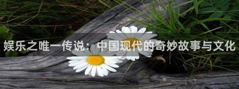 华信娱乐链接：娱乐之唯一传说：中国现代的奇妙故事与文化