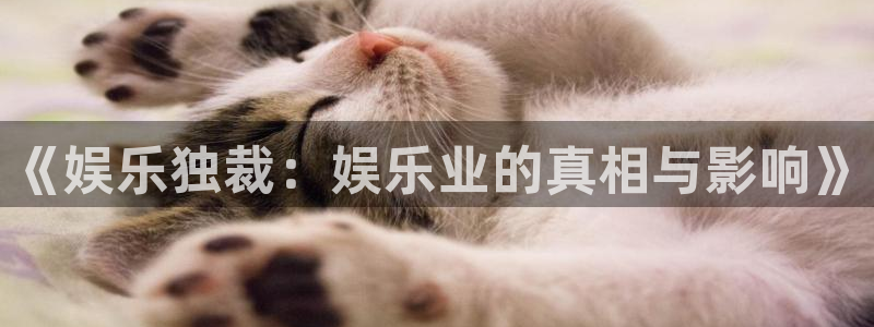 华信娱乐网站：《娱乐独裁：娱乐业的真相与影响》