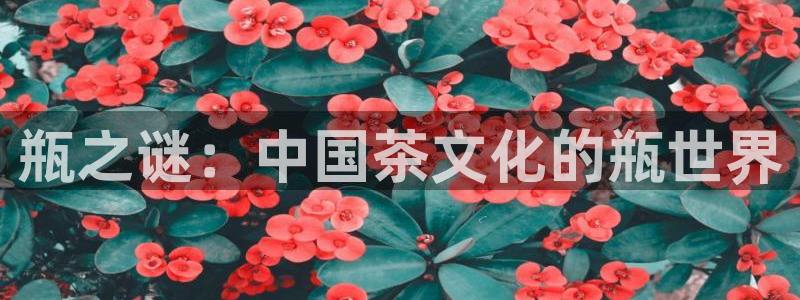 华信娱乐体育注册平台：瓶之谜：中国茶文化的瓶世界