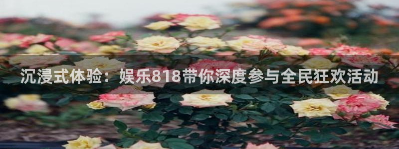 成都华信娱乐电子有限公司：沉浸式体验：娱乐818带你深度参与全民狂欢活动