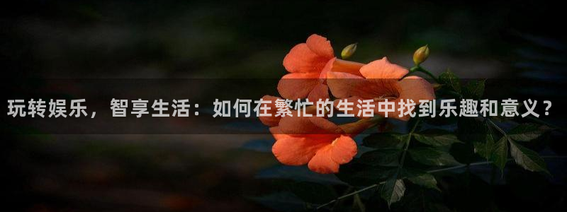 南宫华信娱乐官网版：玩转娱乐，智享生活：如何在繁忙的生活中找到乐趣和意义？